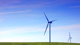Renewable Energy Sector